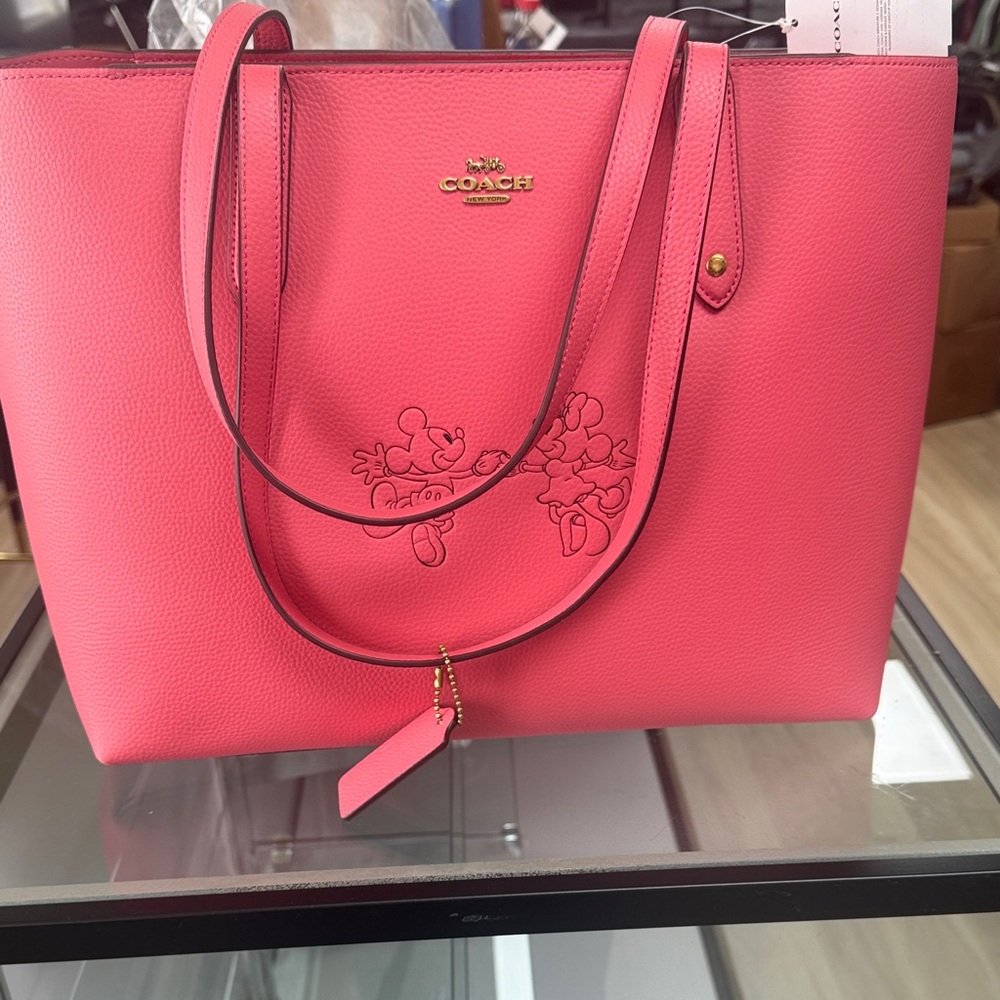 Disney Coach Willow Watermelon NWT